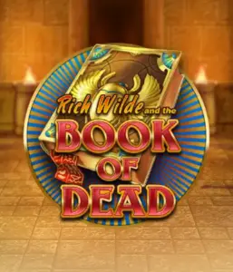 Enter the thrilling world of Book of Dead by Play'n GO, showcasing vivid graphics of Rich Wilde’s adventurous journey through ancient Egyptian tombs and artifacts. Find lost riches with exciting mechanics like free spins, expanding icons, and a gamble option. Ideal for adventure enthusiasts with a desire for unearthing secrets.